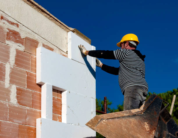 Best Energy-efficient Insulation  in Fannett, TX