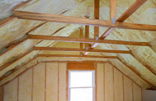 Best Residential Insulation Services  in Fannett, TX