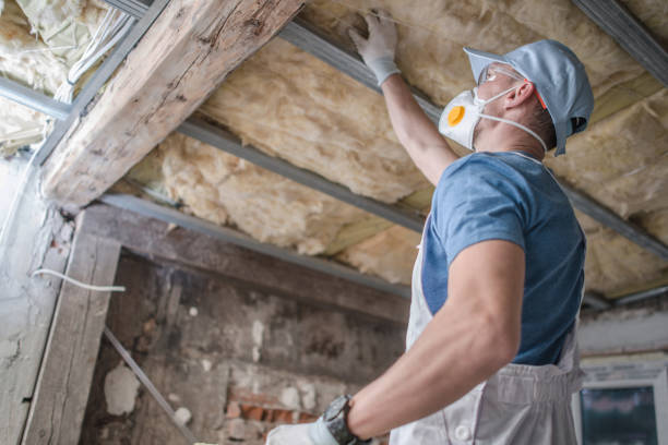 Best Commercial Insulation Contractor  in Fannett, TX