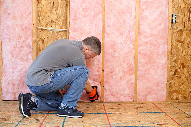 Best Insulation Replacement Services  in Fannett, TX