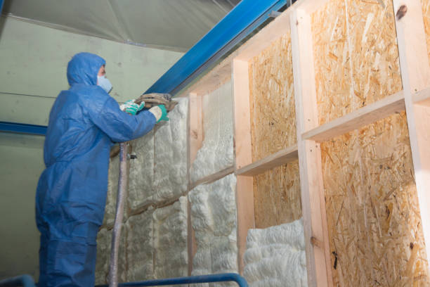 Best Insulation Inspection Services  in Fannett, TX