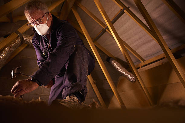 Best Spray Foam Insulation  in Fannett, TX
