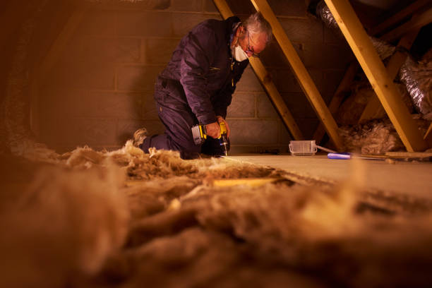 Best Residential Insulation Services  in Fannett, TX